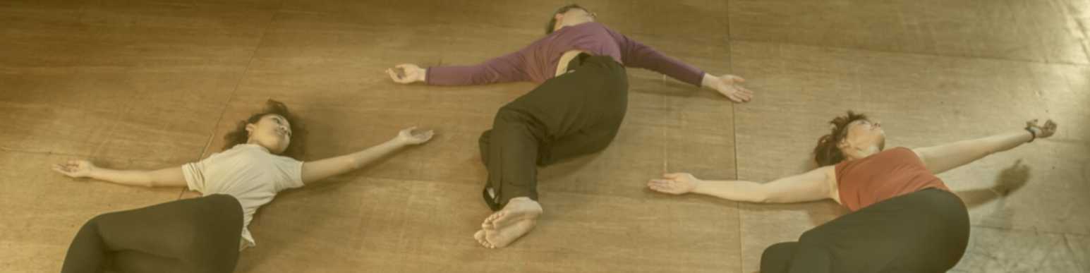 Feldenkrais Workshops online