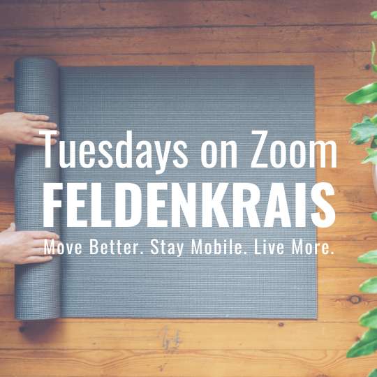 Tuesdays on Zoom Feldenkrais