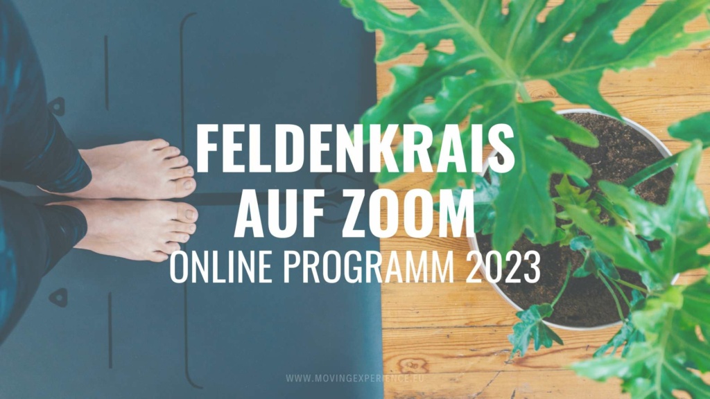 Feldenkrais auf Zoom mit Bärbel Rücker